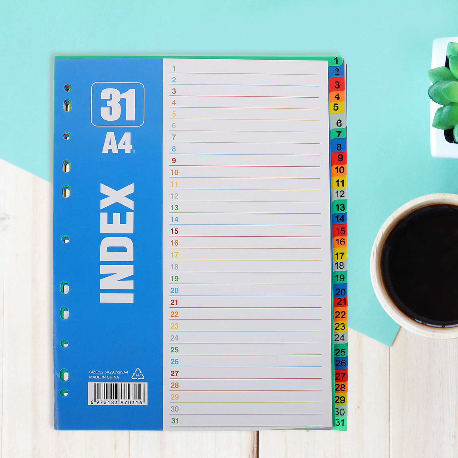 1Set Dividers A4 11-Hole PP St - Tab Divider A4 리뷰 및 가격