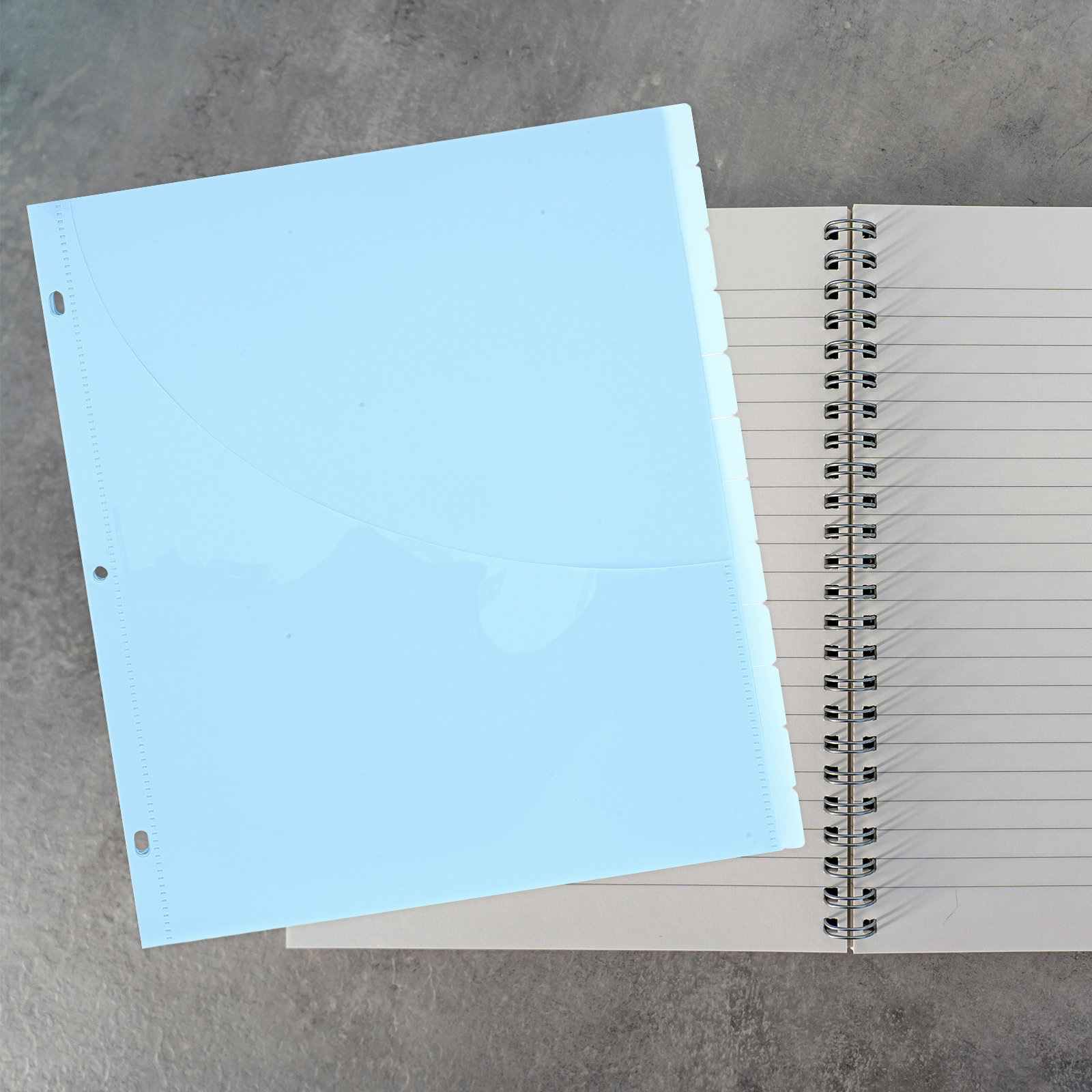 12Pcs Binder Dividers A4 Size  - Tab Divider A4 리뷰 및 가격