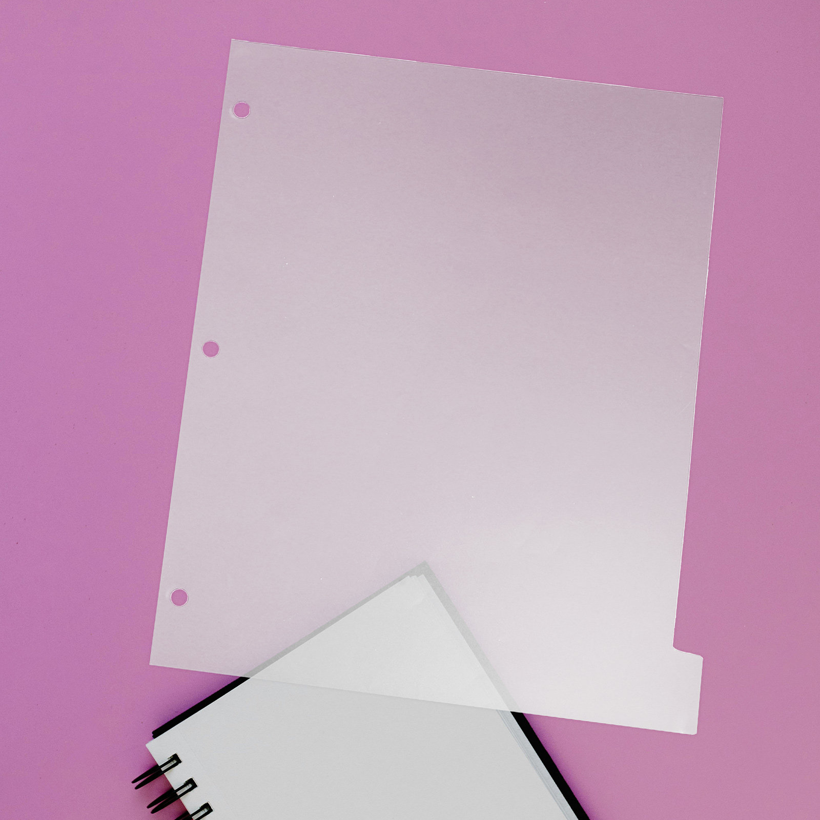 8 Sheets Tabbed Divider Pages  - Tab Divider A4 리뷰 및 가격
